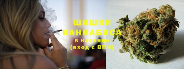 шишки Абаза