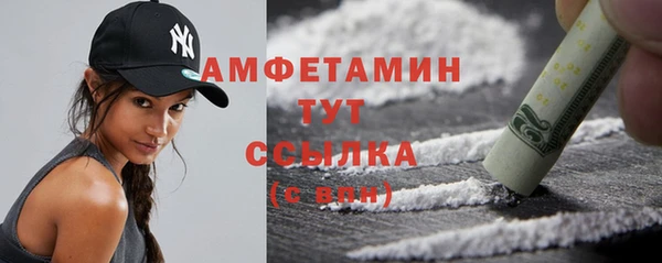 шишки Абаза