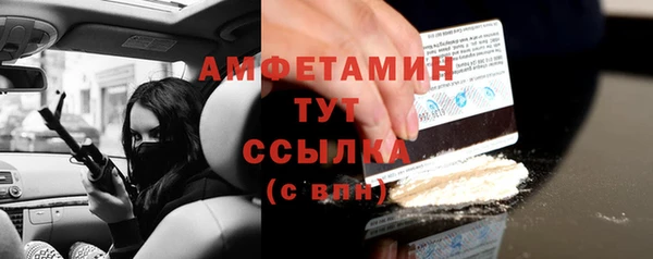 шишки Абаза