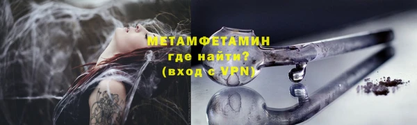 шишки Абаза