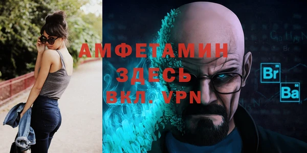 шишки Абаза