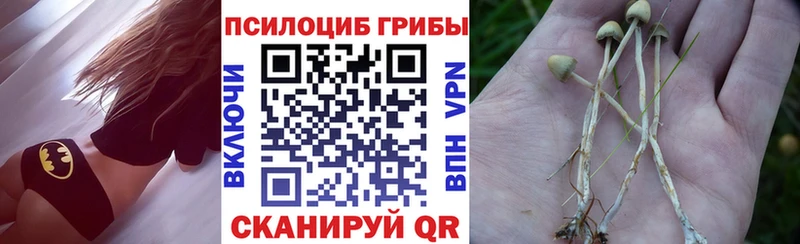 Галлюциногенные грибы Cubensis Лабытнанги