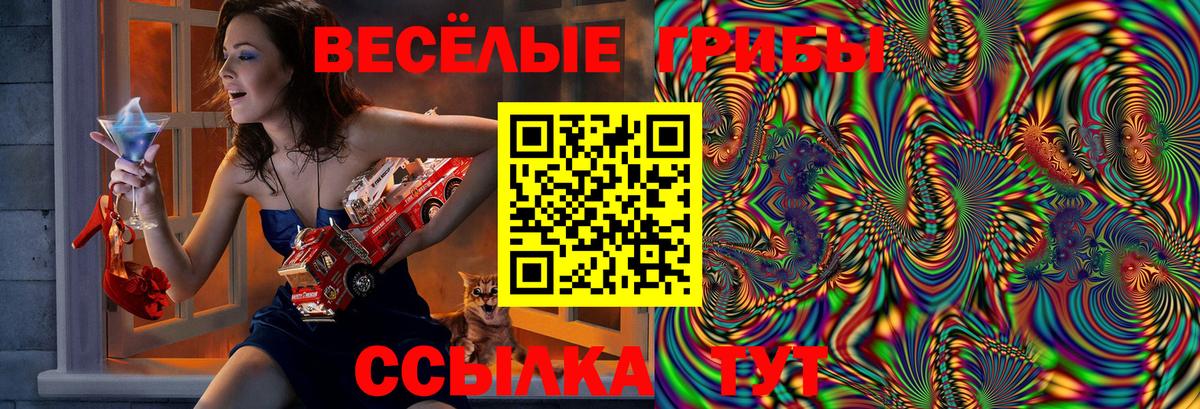 Галлюциногенные грибы мухоморы Лабытнанги